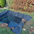 Business 49 image DGM SERVICES Wallpapers & Wallcoverings in Mansfield No