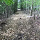 Business 16 image DMS KILHAM LTD Lawn Care Services in Driffield Ery