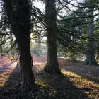 Business 20 image DMS KILHAM LTD Lawn Care Services in Driffield Ery