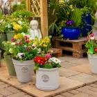 Business 4 image DOBBIES GARDEN CENTRE BEACONSFIELD Plant Nurseries & Garden Centres in Beaconsfield Bu