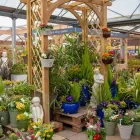 Business 5 image DOBBIES GARDEN CENTRE BEACONSFIELD Plant Nurseries & Garden Centres in Beaconsfield Bu