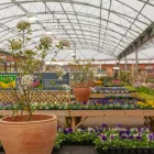 Business 6 image DOBBIES GARDEN CENTRE BEACONSFIELD Plant Nurseries & Garden Centres in Beaconsfield Bu