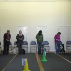 Business 3 image DOGSBODIES CANINE EDUCATION Dog Training in Northampton No