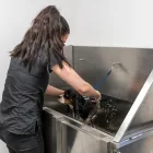 Business 5 image DOGWOOD GROOMING Pets & Animals in Windsor Be