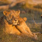 Business 4 image DONNA MEREDITH - TRAVEL COUNSELLORS Travel Agents in Banbury Ox