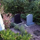 Business 1 image DOVE RIVER PRACTICE Doctors (medical Practitioners) in Burton-On-Trent St