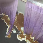 Business 3 image DR ASHOK'S AYURVEDIC CLINIC & HEALTH SPA Clinics in Birmingham We