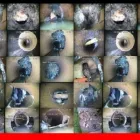 Business 1 image DRAINPRO-SERVICES Drainage Contractors in Middlesbrough Cl