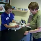 Business 5 image DROVE VETERINARY HOSPITAL Vets in Swindon Wi