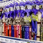 Business 1 image DUSTY'S PETSHOP Pets & Animals in Aberdeen Ab