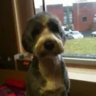 Business 6 image E-ESTATE Estate Agents in Croydon Su