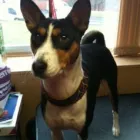 Business 7 image E-ESTATE Estate Agents in Croydon Su