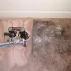 Business 9 image ECO-STEAM CLEAN LIVERPOOL LTD Upholstery Cleaners in Liverpool Me