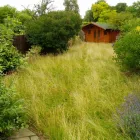 Business 6 image ED'S GARDEN MAINTENANCE LTD Garden Clearance in Sunbury-On-Thames Mi