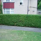 Business 3 image ED'S GARDEN MAINTENANCE LTD Garden Clearance in Sunbury-On-Thames Mi
