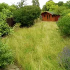 Business 6 image ED'S GARDEN MAINTENANCE Garden Services in Epsom Su