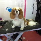 Business 1 image EDENBRIDGE MEDICAL PRACTICE Doctors (medical Practitioners) in Edenbridge Ke