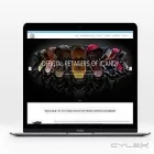 Business 1 image EDINBURGH DIGITAL Web Design in Edinburgh Edh