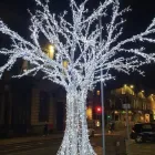 Business 10 image EDINBURGH WALKING TOUR COMPANY Zoos in Edinburgh Edh