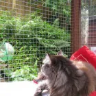 Business 5 image ELIZABETH LOIS PHOTOGRAPHY General Photographers in Hornchurch Gr