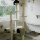 Business 1 image ELIZABETH LOIS PHOTOGRAPHY General Photographers in Hornchurch Gr