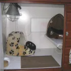 Business 2 image ELIZABETH LOIS PHOTOGRAPHY General Photographers in Hornchurch Gr