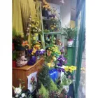 Business 2 image ENABLE SCOTLAND Social Service & Welfare Organisations in Glasgow La