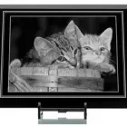 Business 12 image ENGRAVE-IT UK LTD Shopping & Retail in High Wycombe Bu