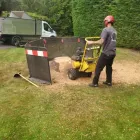 Business 1 image EVE TREE CARE Turf Suppliers in Epsom Su