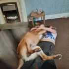 Business 4 image EXPAND YOUR WING Personal Coaches & Life Coaches in Yeovil So