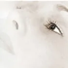 Business 3 image EXPRESSIONS BEAUTY SALON Beauty Salons & Consultants in Glasgow La