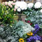 Business 2 image FLEUR MAISON FLORIST Florists in Middlesbrough Cl