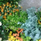 Business 1 image FLEUR MAISON FLORIST Florists in Middlesbrough Cl