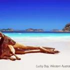 Business 1 image FLIGHT CENTRE Travel Agents & Services in Reading Be