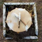 Business 3 image FLOURISH - NURTURING IS IN OUR NATURE Training Services in Glasgow Glg