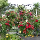 Business 2 image FLOW LEARNING LTD Training Services in Stockton-On-Tees Cl