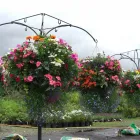 Business 3 image FLOW LEARNING LTD Training Services in Stockton-On-Tees Cl