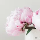 Business 4 image FLOWER SHOPS Wedding Services in London Gr