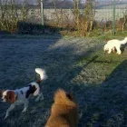 Business 2 image FLOWERSBYLYNN Florists in Glasgow La