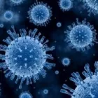 Business 1 image FOGCLEAN Ultrasonic Cleaning in Kirkham La