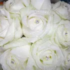 Business 7 image FOREVER FLOWERS Florists in Huddersfield We