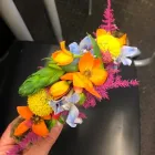 Business 18 image FORGET ME NOT FLORIST Shopping & Retail in Bournemouth Do