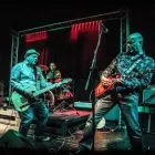 Business 7 image FORUM MUSIC CENTRE THE Venues in Darlington Co