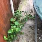 Business 9 image FOUR SEASONS GROUNDS MANAGEMENT Lawn Care Services in Uttoxeter St