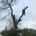 Business 13 image FOUR SEASONS GROUNDS MANAGEMENT Lawn Care Services in Uttoxeter St