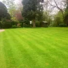 Business 23 image FOUR SEASONS GROUNDS MANAGEMENT Lawn Care Services in Uttoxeter St