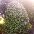 Business 27 image FOUR SEASONS GROUNDS MANAGEMENT Lawn Care Services in Uttoxeter St