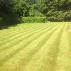 Business 36 image FOUR SEASONS GROUNDS MANAGEMENT Lawn Care Services in Uttoxeter St