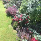Business 37 image FOUR SEASONS GROUNDS MANAGEMENT Lawn Care Services in Uttoxeter St