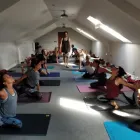 Business 3 image FREEDOM YOGA STUDIO Yoga Studios & Classes in Nottingham No